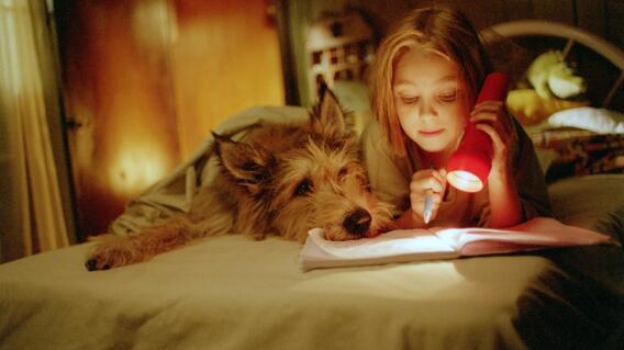 5562_La Kalle ¿Es malo dormir con perros? / Foto: AFP 5562_La Kalle ¿Es malo dormir con perros? / Foto: AFP
