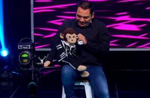354967_showtato1.jpg