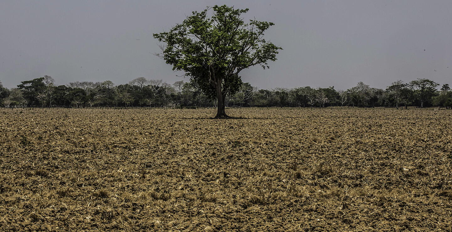 292977_BLU Radio. La Mojana // Foto: AFP