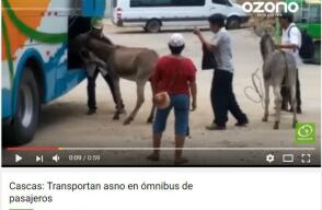 279589_Foto: Captura video YouTube