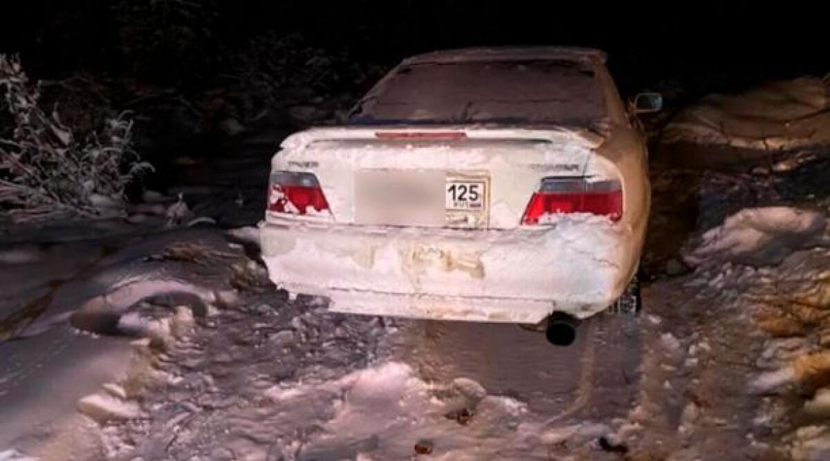 Carro congelado