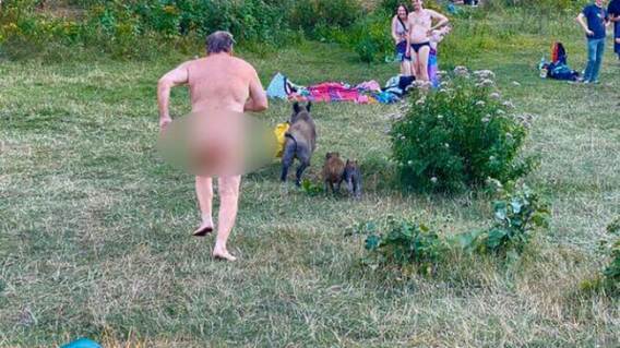 24379_Hombre desnudo persiguió a un jabalí / Foto: Instagram 24379_Hombre desnudo persiguió a un jabalí / Foto: Instagram