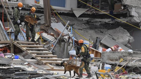 292522_terremto-mexico-foto-afp.jpg