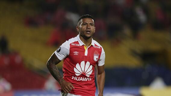 291757_Wilson Morelo 291757_Wilson Morelo