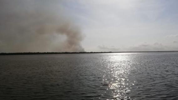 357602_Quemas en isla Salamanca. Foto: BLU Radio