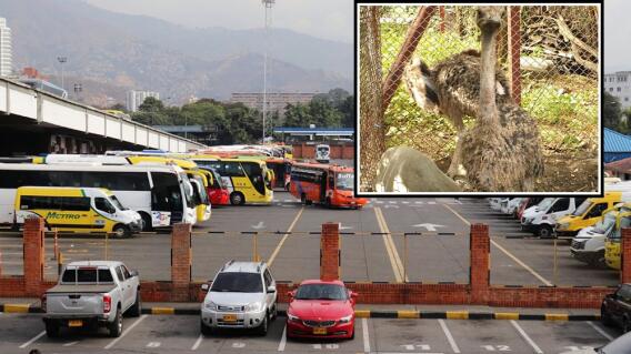 350718_Foto: Suministrada a BLU Radio