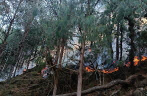 Activo permanece incendio forestal en Charta, Santander.jpg