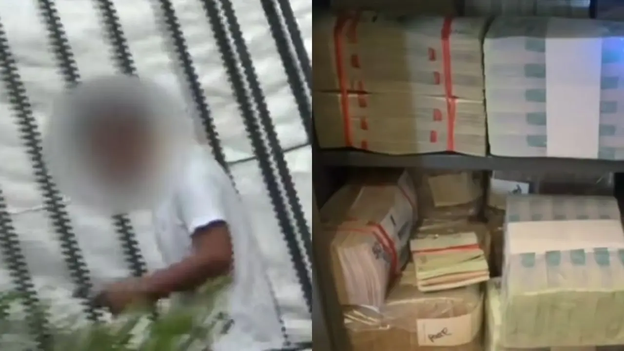 Caída de narco invisible: fingía ser empresario, pero era enlace de 'Mordisco' con narcos mexicanos - NoticiasCaracol