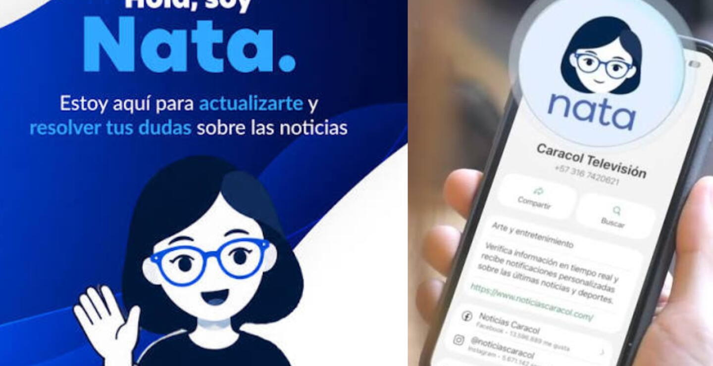 ¿Cómo verificar información con NATA? 