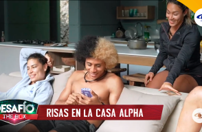 Clip 2.png