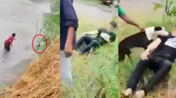 rescate de perrito que cayo al rio rescate de perrito que cayo al rio