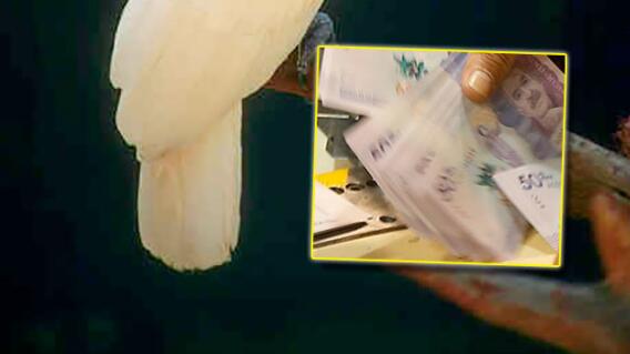 Fotos: archivo Colprensa.