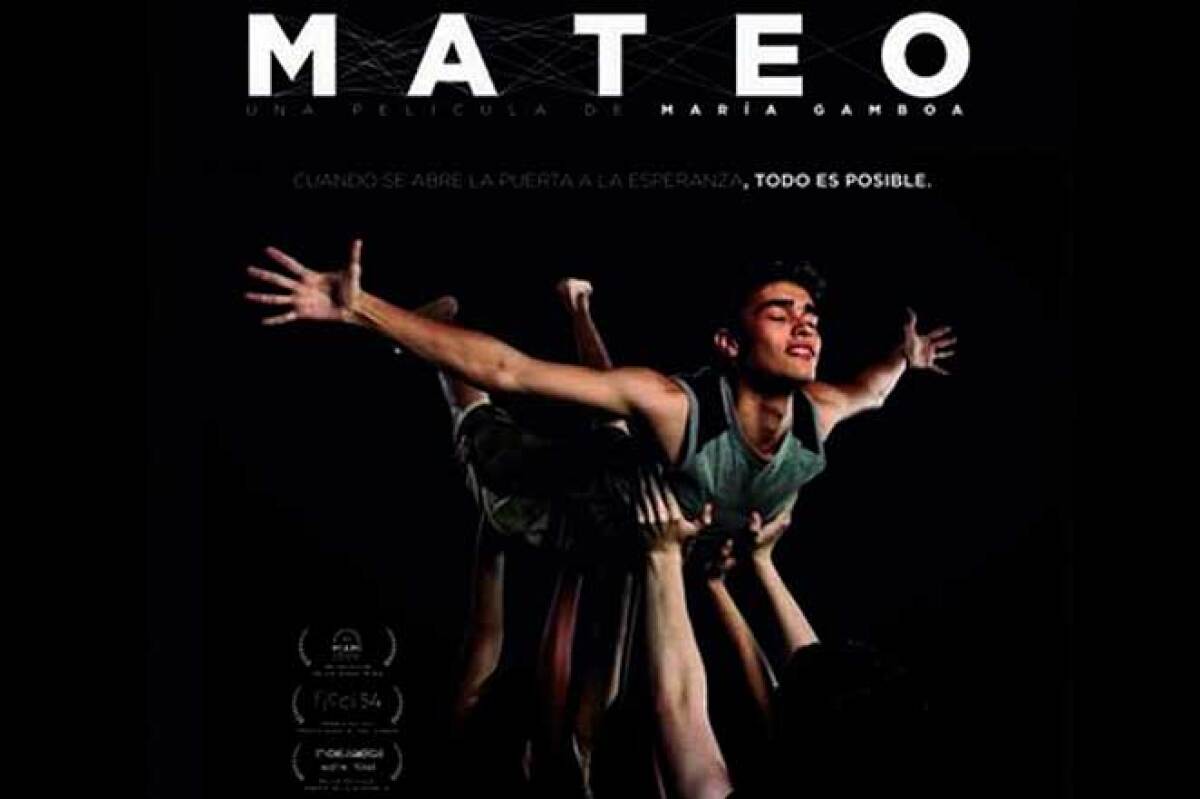 443737_mateo1.jpg