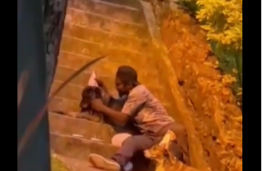 Habitante de calle le celebró el cumpleaños a sus dos perros