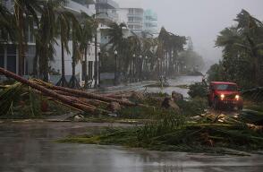 florida_22.jpg