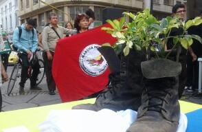 286697_Blu Radio / Con banderas y canticos cientos de caleños celebraron dejación de armas de las Farc / Foto: Cortesía