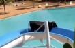 Vaca en la piscina