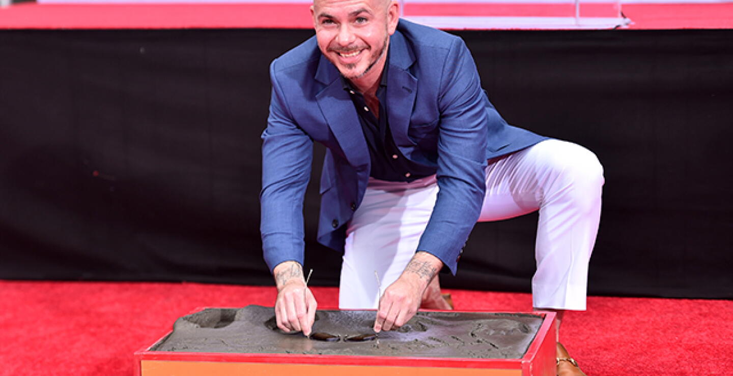 pitbull_2.jpg