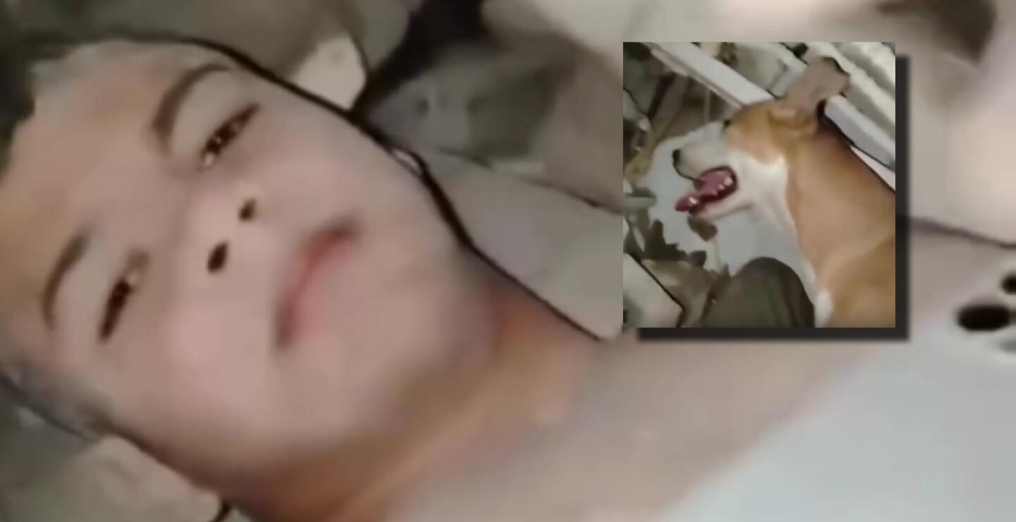 Joven sobrevivió bajo los escombros en Venezuela gracias a su perro