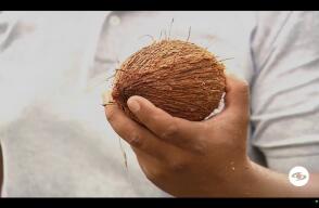 Coco.jpg