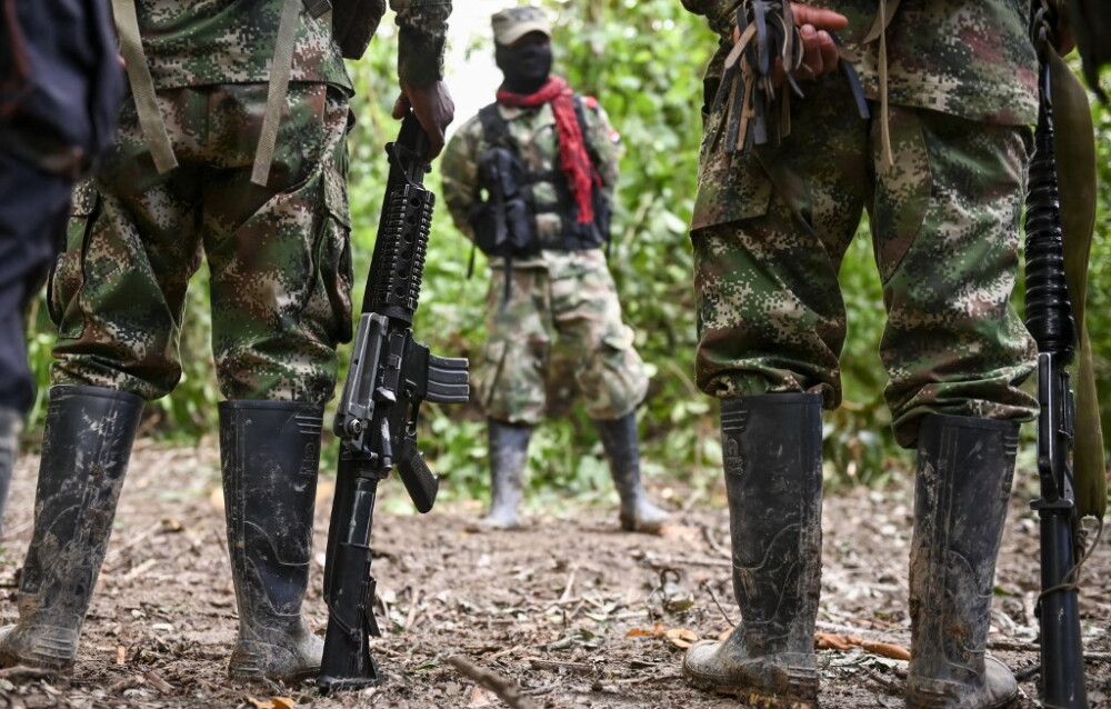 ELN (2).jpeg