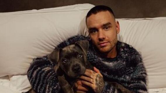 Cuerpo sin vida de Liam Payne