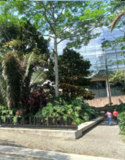 Plaza de la Libertad