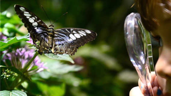 318706_Foto referencia: AFP