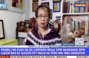 Twitter: nikkibigornia