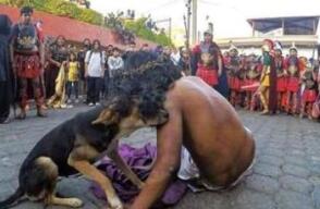 Perrito consuela a actor de viacrucis 