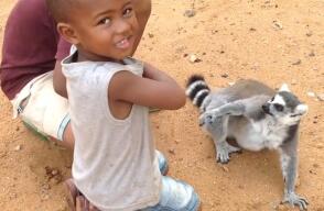 360613_lemur970.jpg