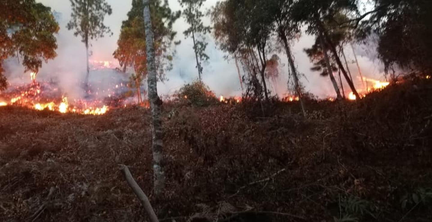 342531_BLU Radio. Incendio forestal // BLU Radio: AFP