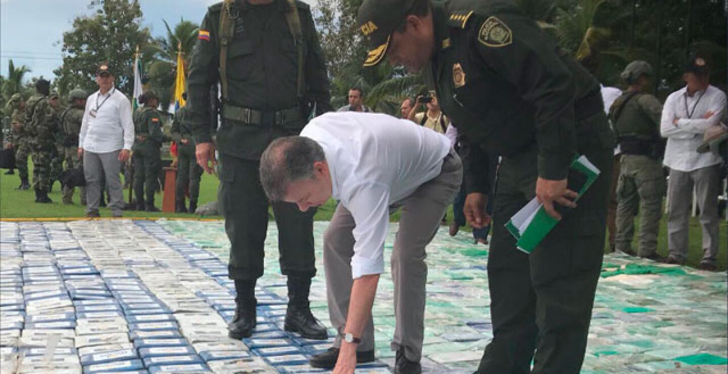 081117_coca_uraba2_santos.jpg