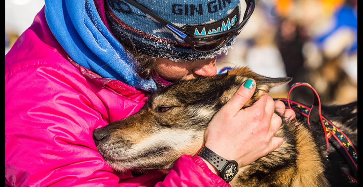 Balto y Togo, son dos de los nombres de los perros  más famosos de esa heroica hazaña de 1925. 