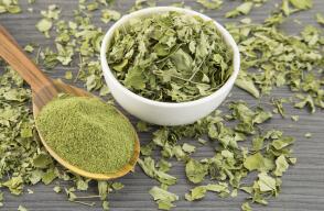 Moringa leaves and moringa powder - Moringa oleifera.