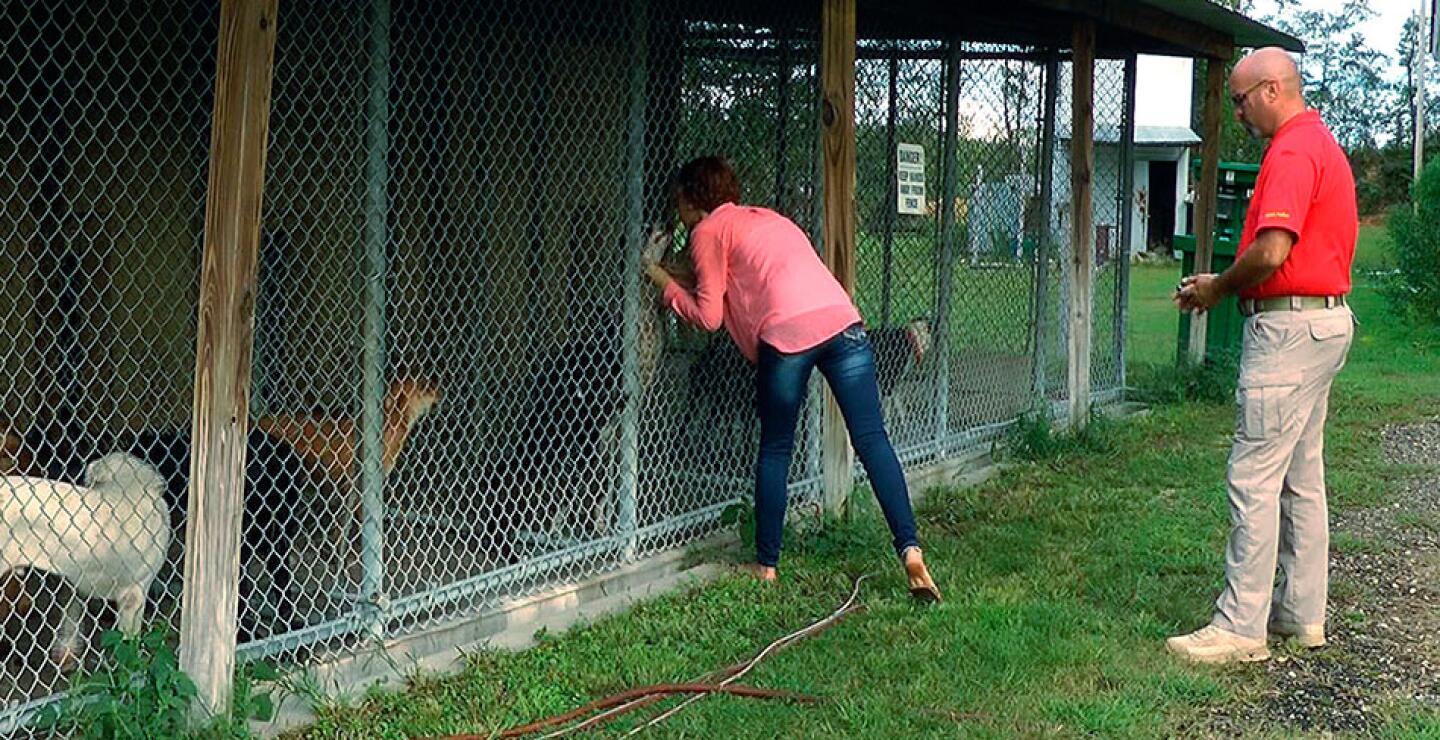 Los voluntarios del refugio animal de Ozark City aún no se explican cómo, tras el procedimiento de eutanasia, el perro estaba de pie al día siguiente.