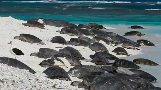 ¿Por qué desapareció una isla entera cerca de Hawái?