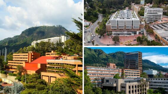 No solo los Andes: estas son las universidades en Colombia que ofrecen pregrado en Ciencia de Datos No solo los Andes: estas son las universidades en Colombia que ofrecen pregrado en Ciencia de Datos