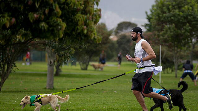 Con el aislamiento social, ¿se pueden seguir haciendo actividades como sacar el perro al parque?