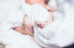 Bebés 