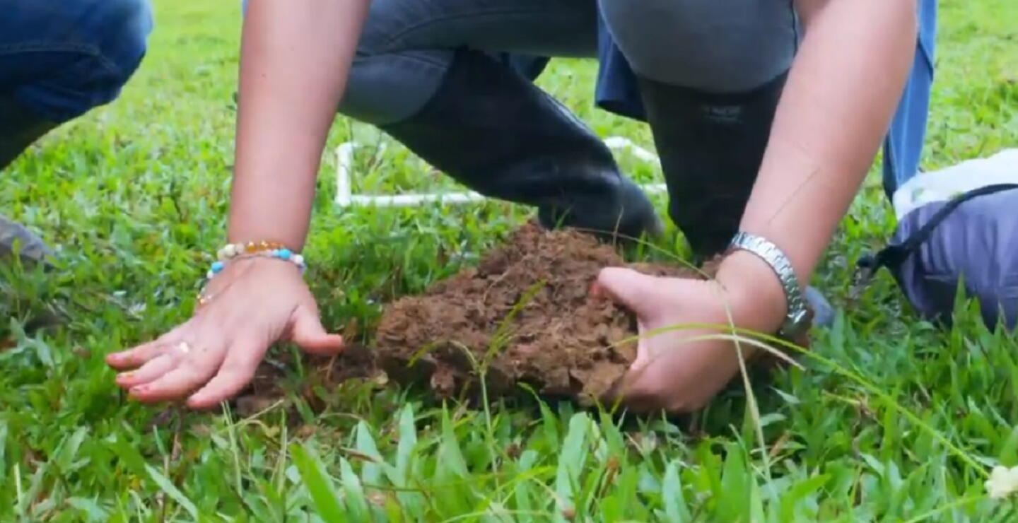 Takami, finalista al premio Caracol Televisión a la protección del medioambiente 2022