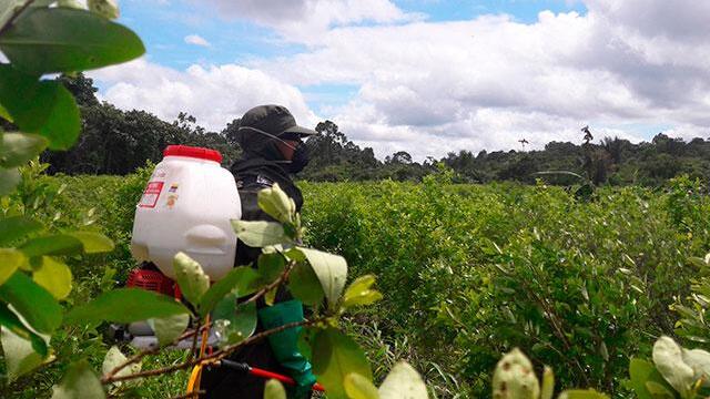 ¿Qué está pasando en Tumaco y por qué la masacre? Radiografía de la crítica situación de la zona ¿Qué está pasando en Tumaco y por qué la masacre? Radiografía de la crítica situación de la zona