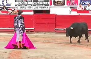 110115-toro.jpg