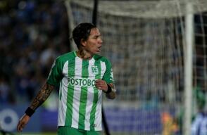 289808_dayro.jpg