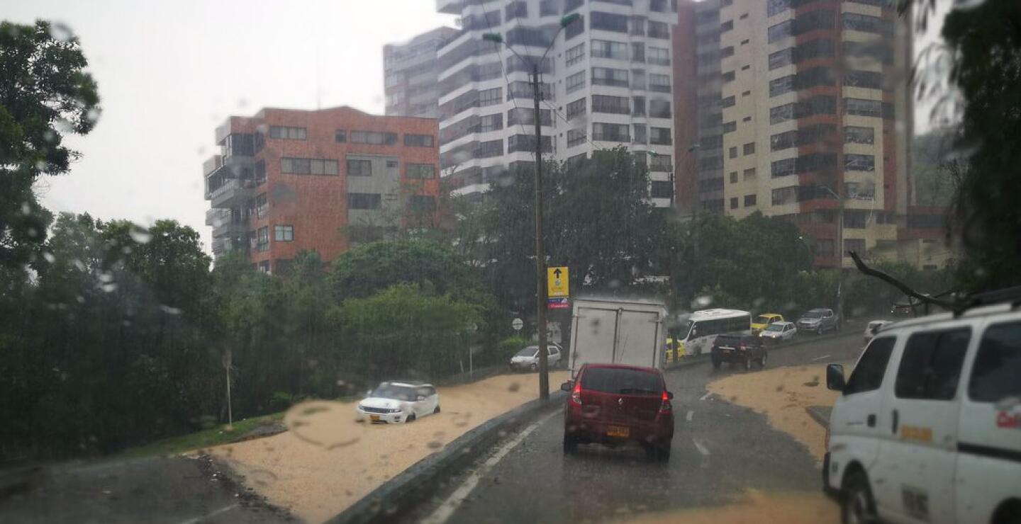 274195_Foto: Cortesía.