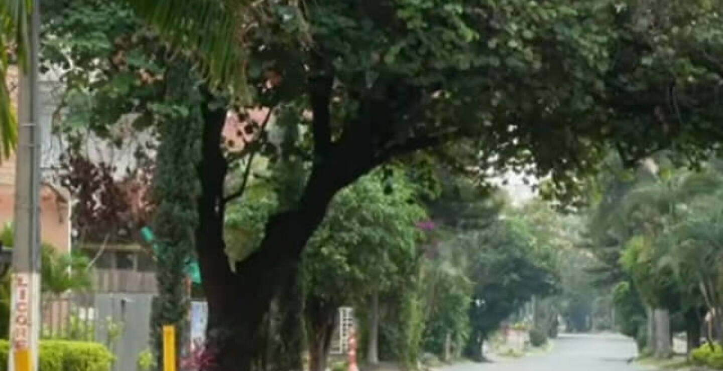 calles_ciudades.jpg