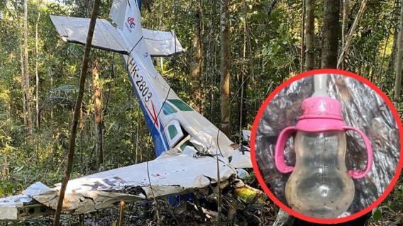 Bebé desaparecida en selva cumple un año Bebé desaparecida en selva cumple un año