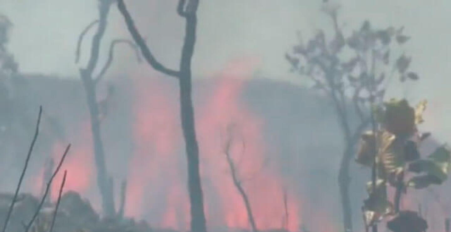 incendio-amazonia.jpg