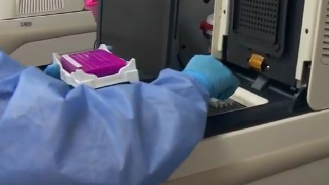 pruebas represadas en antioquia.png pruebas represadas en antioquia.png