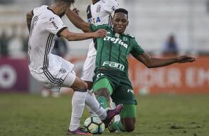334997_Yerry Mina